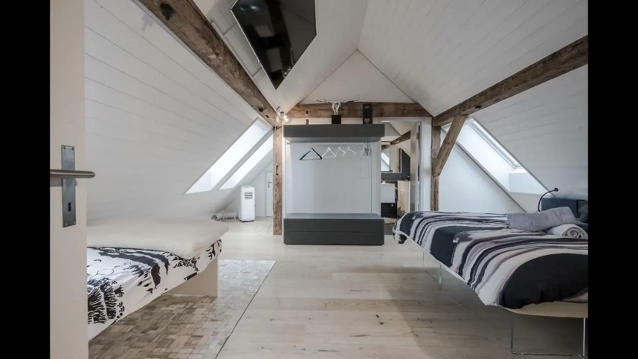 Luxury Penthouse Apartment Zurich Suisse