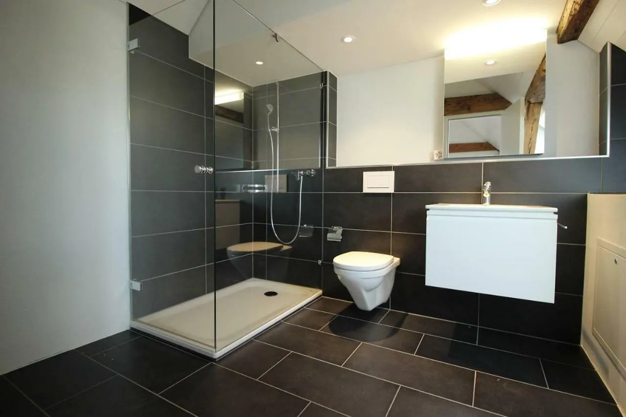 Luxury Penthouse Apartment Zurich