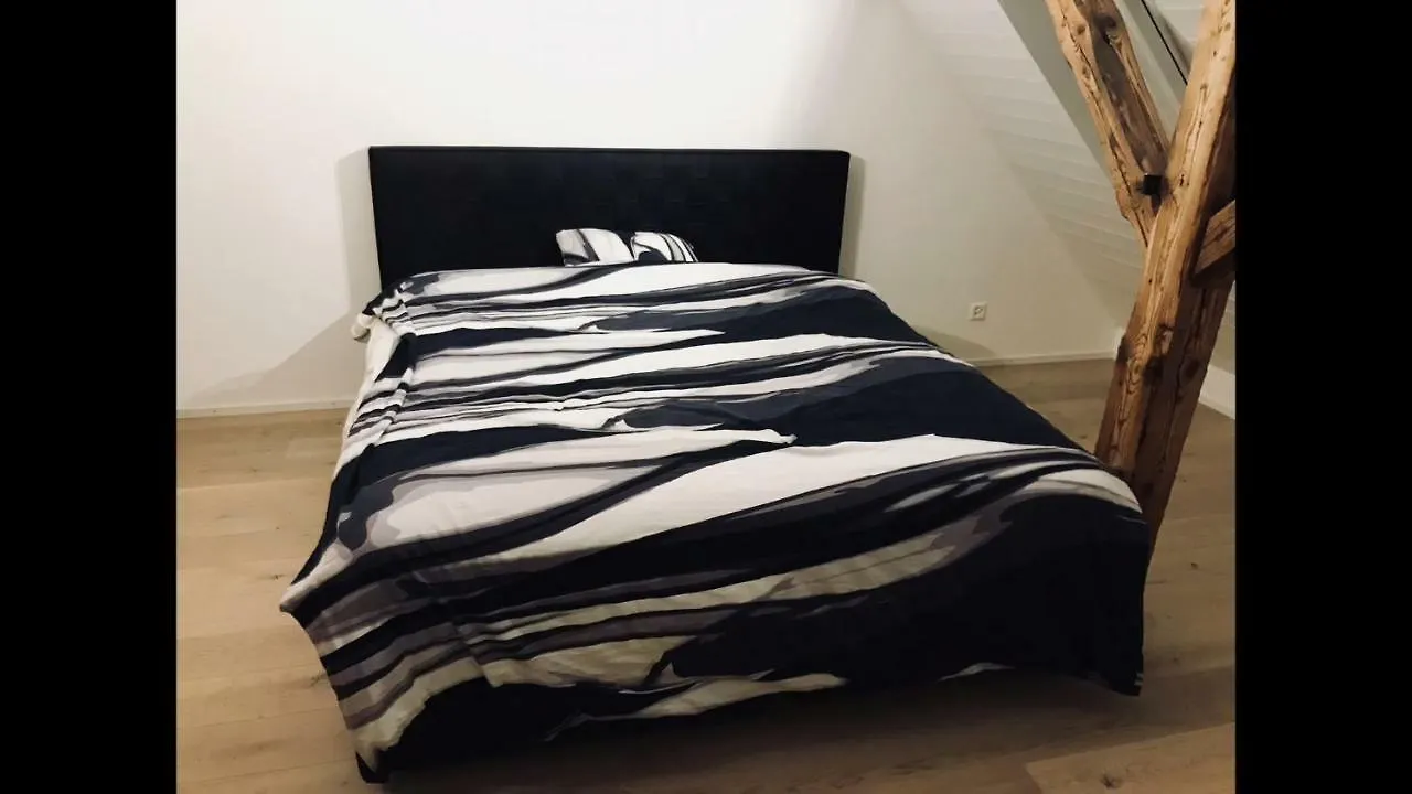 Luxury Penthouse Apartment Zurich